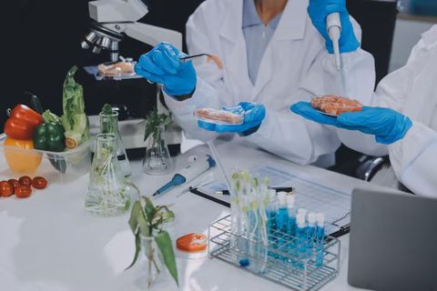 Food Testing Laboratory Equipment Basics for Food Quality Analysis
